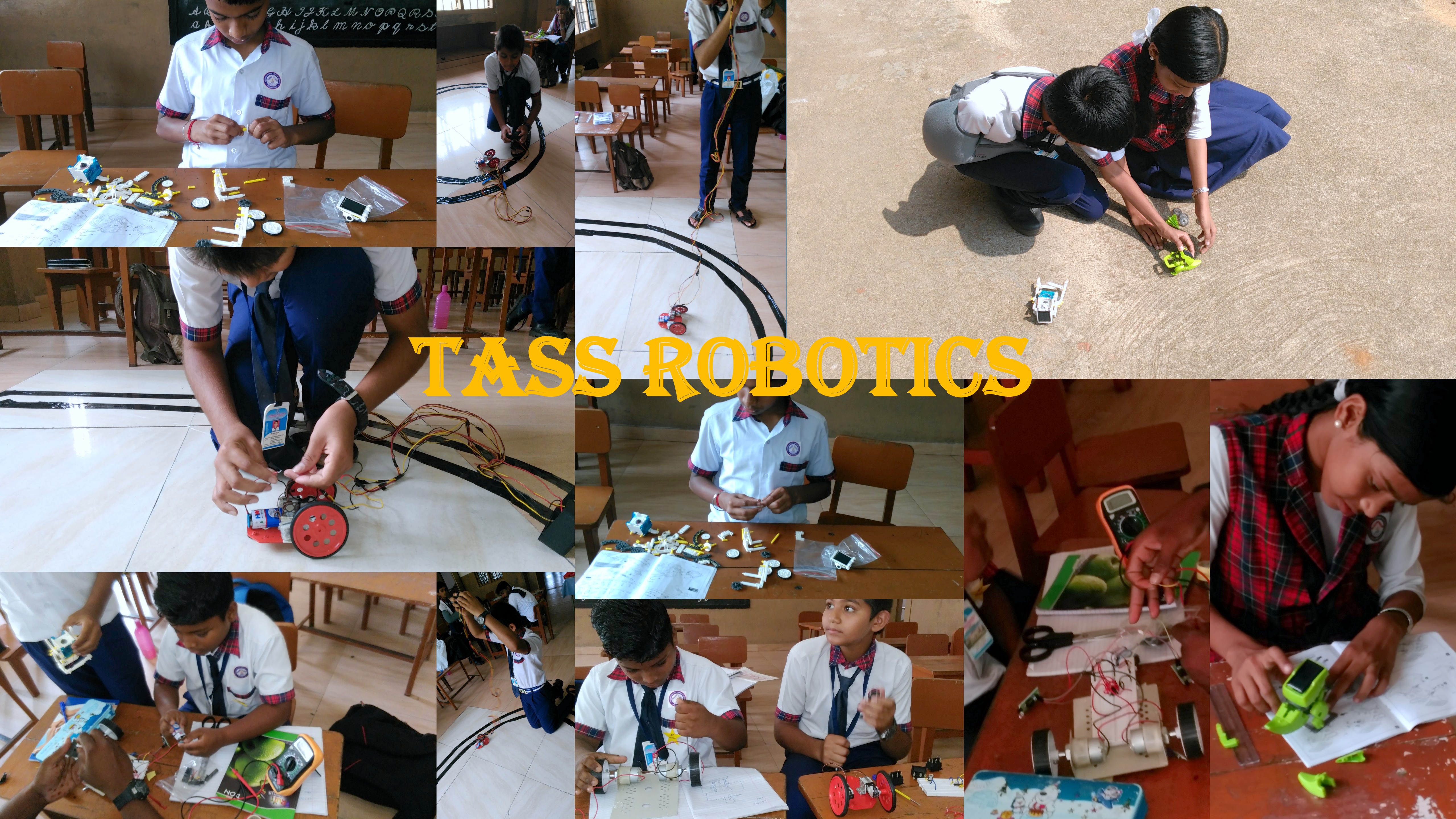 TASS ACTIVITES